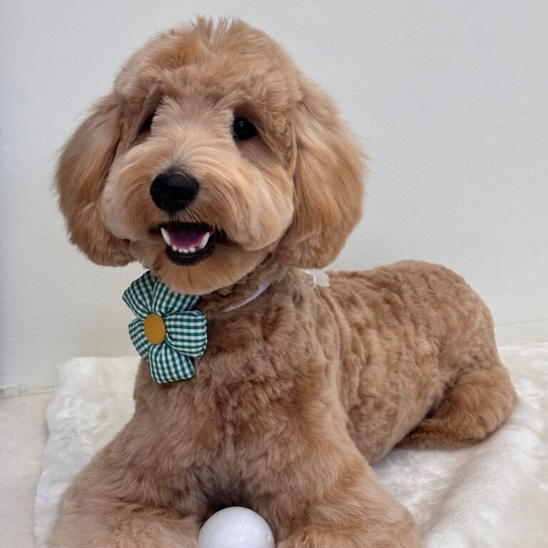 463184380_548220514412863_4546522680769856723_n