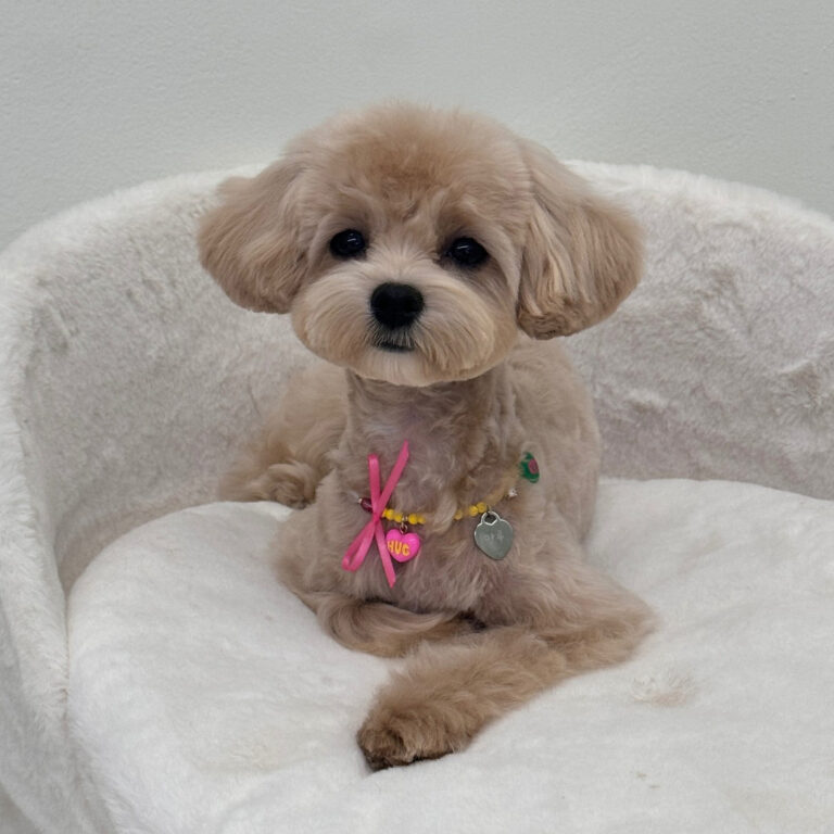 464065654_824097392988740_2513652976474250276_n