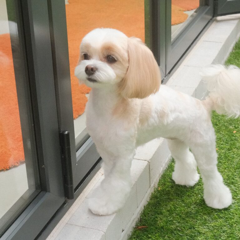 466132395_1477040922980582_8258850434637611474_n