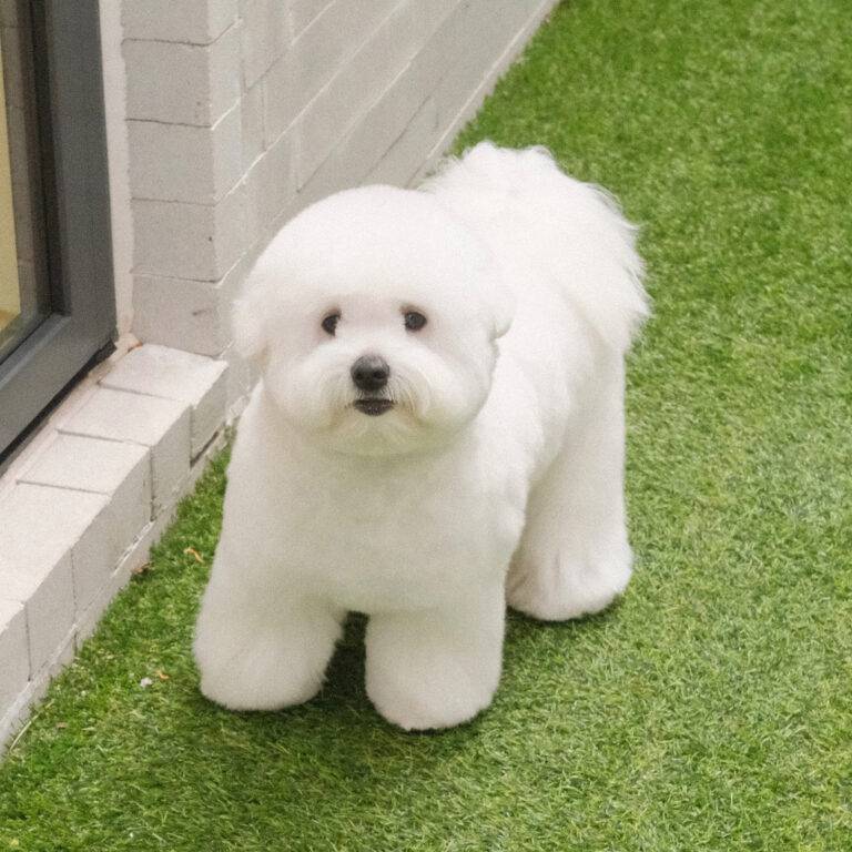 466135876_834657505264044_6873224336519637359_n