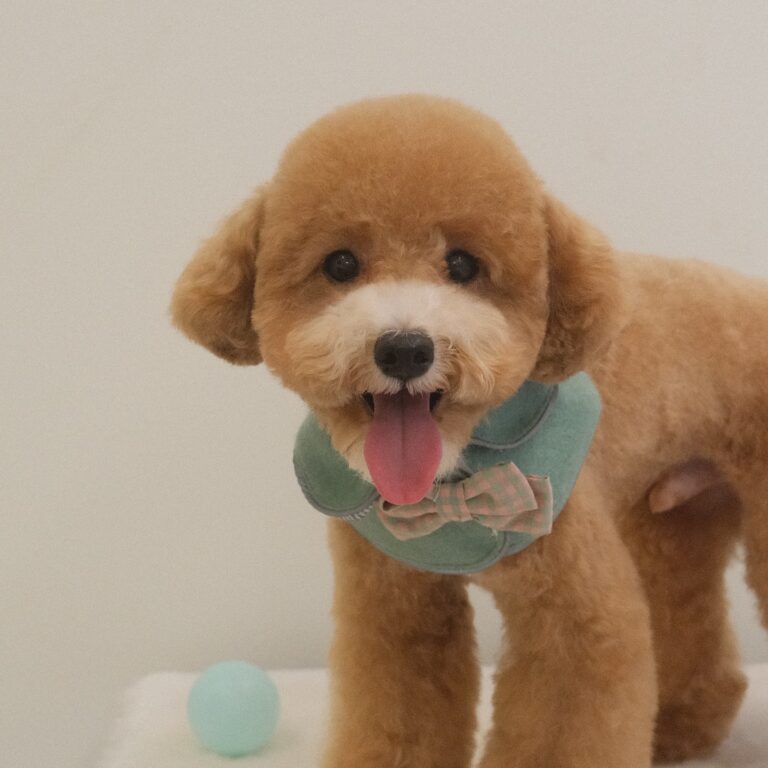 466369343_1234746344287962_1028384076132987466_n