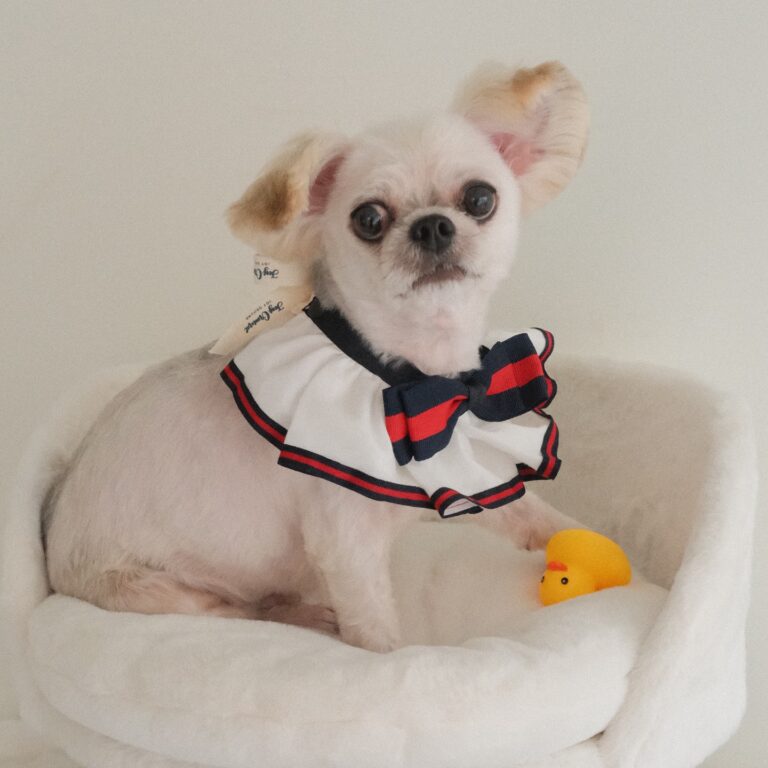 466414413_1996025637474652_3935001591073129910_n