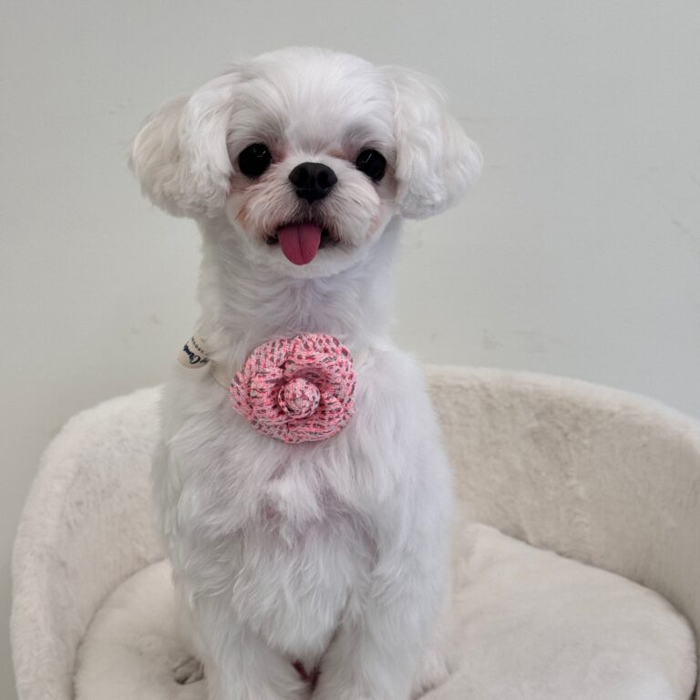 466430736_935131538496314_2818508750736652641_n