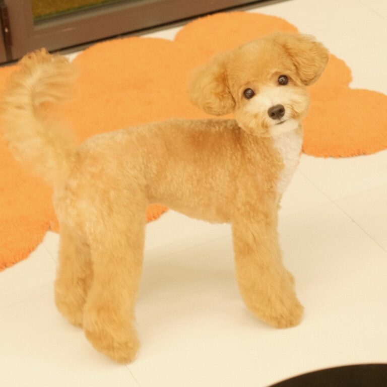 468063707_478878465212567_6870564167541329511_n