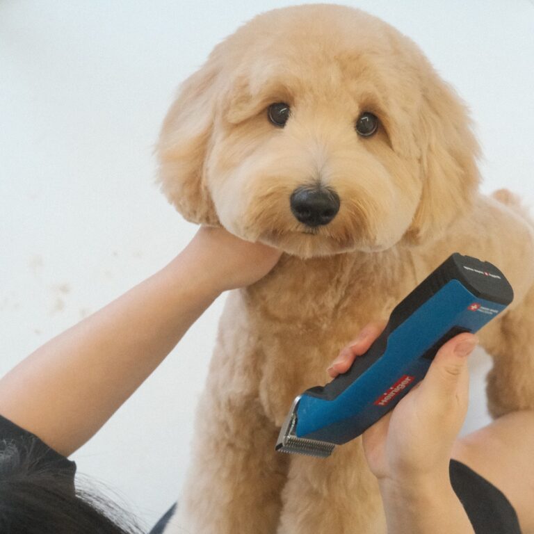 468219585_1715517729213710_7617523827374438078_n