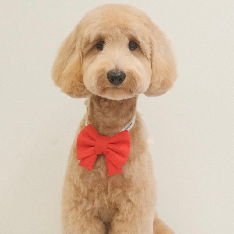 468225374_1118318809853225_6135132188822148329_n