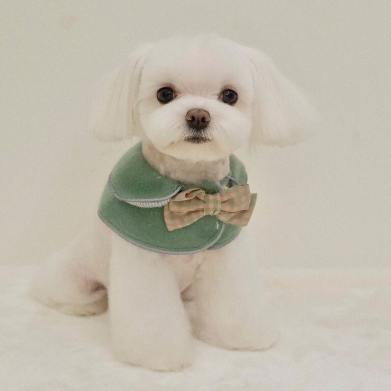 468333762_895988342648227_6474932037622433338_n