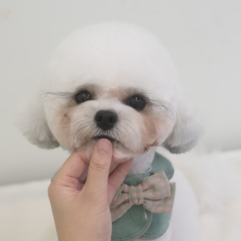 468339185_1762520377856942_8000088145811321572_n