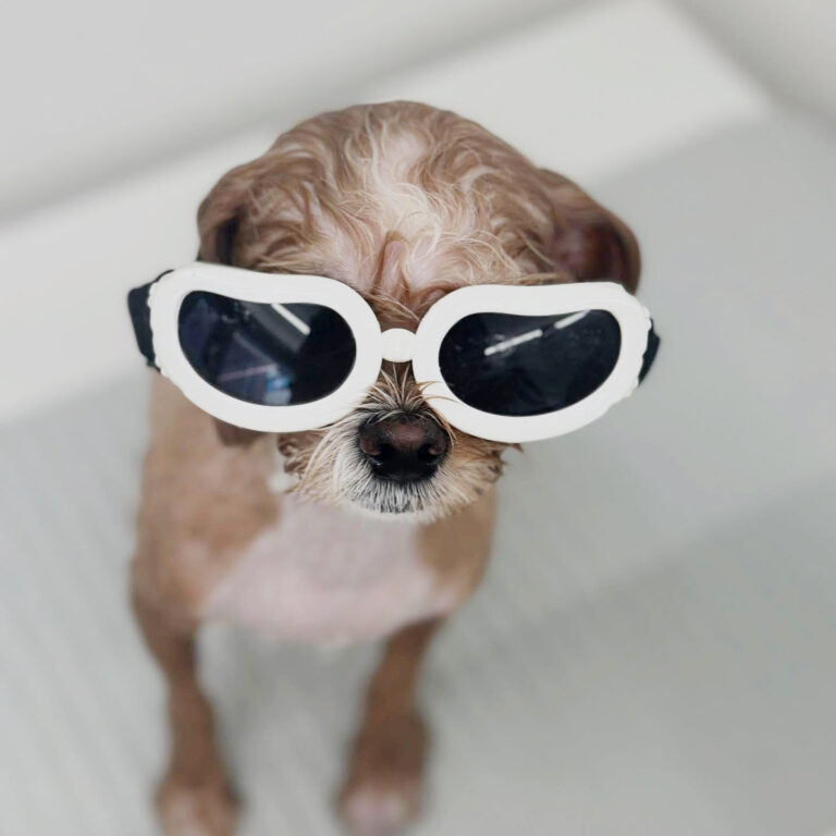 483382733_17873992377296949_1371223545766262848_n