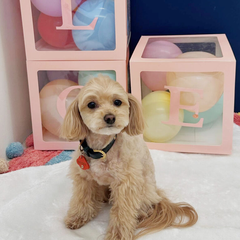 485555883_17875047687296949_4285428975725235946_n