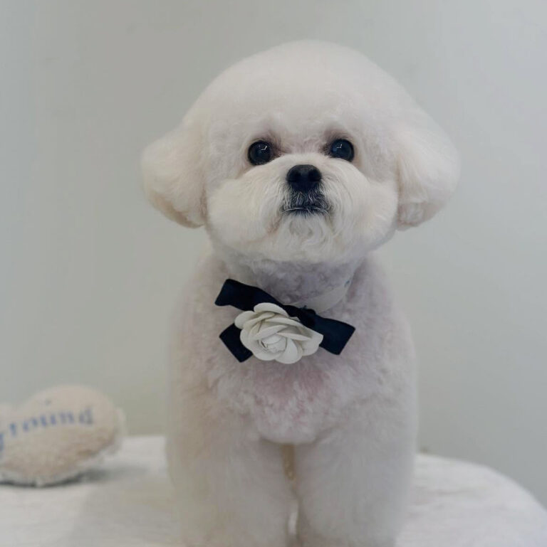 486583880_17875741575296949_2805790801328377016_n