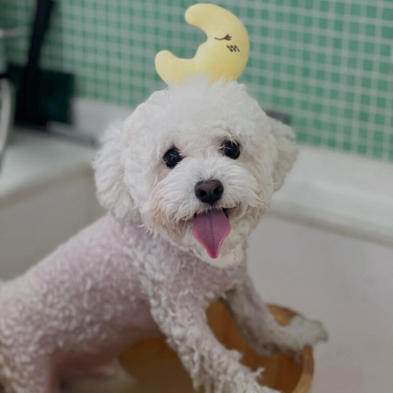 491466466_17879002500296949_873577169546409767_n