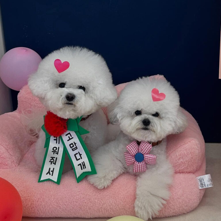 495173990_17880190341296949_2121695804471443485_n