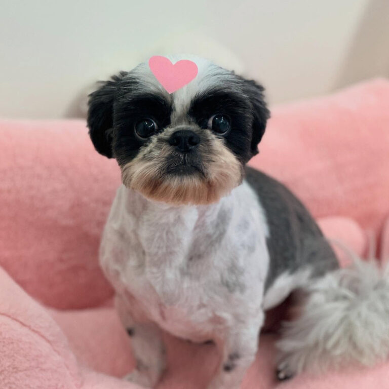 496036701_17881060776296949_4604099328562998915_n