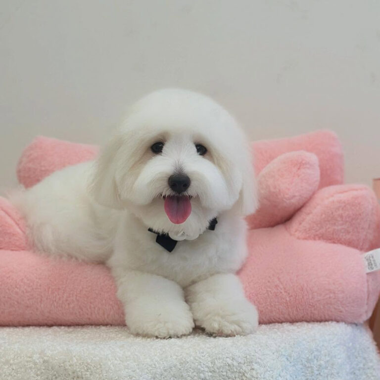 497161599_17881555446296949_4544669559183964142_n