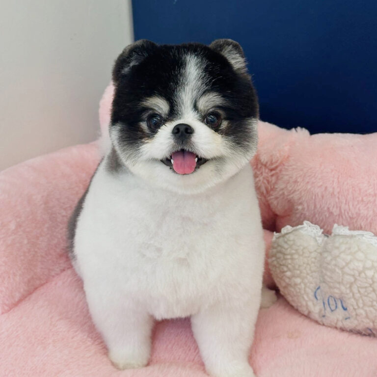 504010138_17886502380296949_4935817486237381341_n