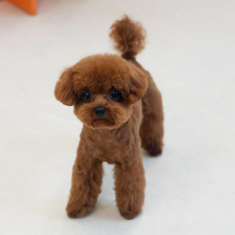 508862249_17886074079296949_2105771862431139164_n